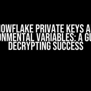 Snowflake Private Keys and Environmental Variables: A Guide to Decrypting Success